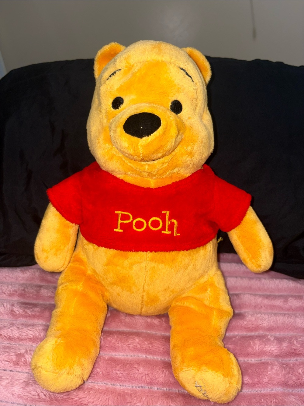 Disney Pooh Plush - Yellow Body with Red Shirt